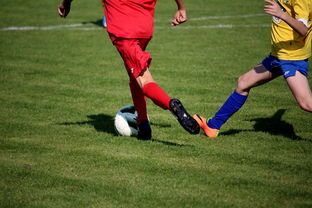 爱游戏数字体验-世界马拉松大满贯赛事上海站开跑，世界马拉松大满贯赛事上海站开跑时间