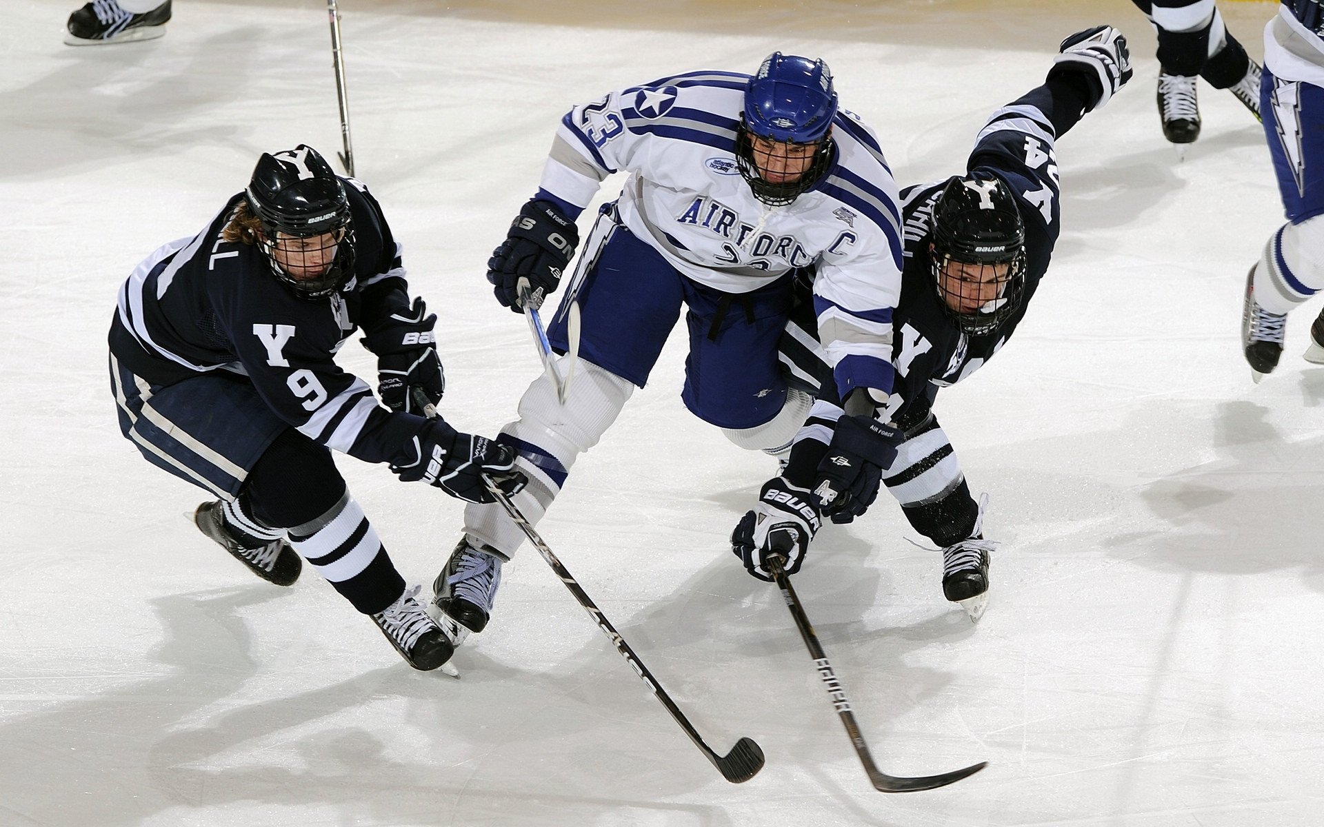 _传统体育新风尚：尘封古技焕发新光彩_，传统体育文化传承